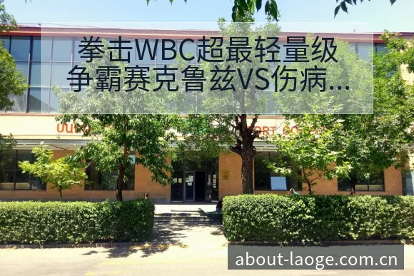 拳击WBC超最轻量级争霸赛克鲁兹VS伤病恢复对赛程影响排 - 老哥网