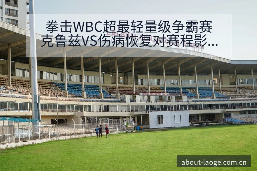 拳击WBC超最轻量级争霸赛克鲁兹VS伤病恢复对赛程影响排 - 老哥网