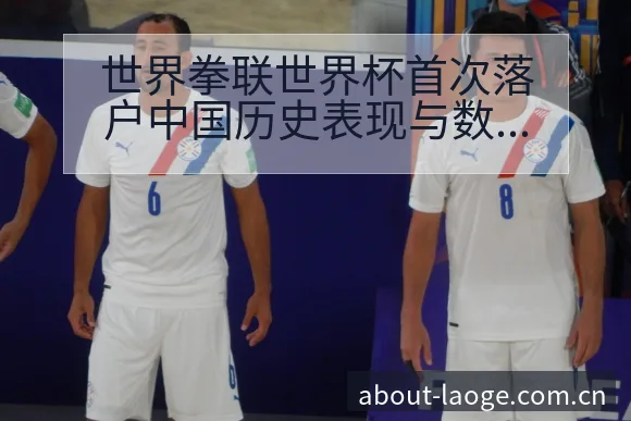 世界拳联世界杯首次落户中国历史表现与数据对比观察 - 老哥网