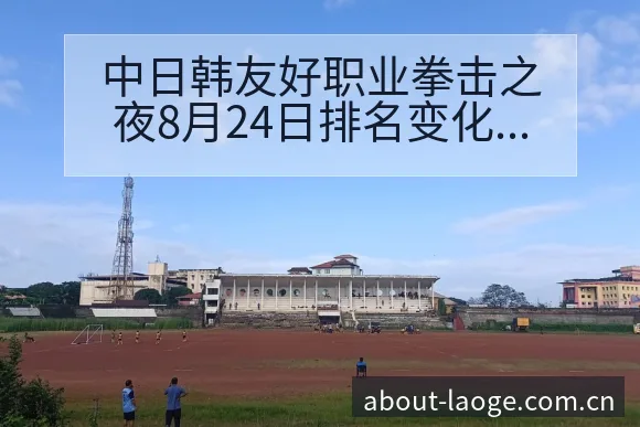 中日韩友好职业拳击之夜8月24日排名变化及阵容影响分析 - 老哥网