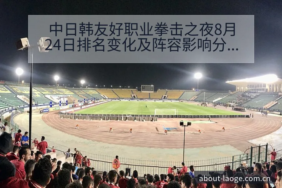 中日韩友好职业拳击之夜8月24日排名变化及阵容影响分析 - 老哥网